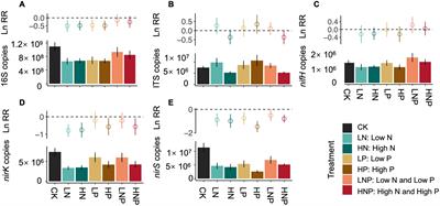 Soil bacteria are more sensitive than fungi in response to nitrogen and phosphorus enrichment